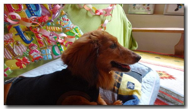 20150805184119.JPG