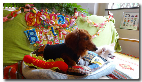 20150805184120.JPG