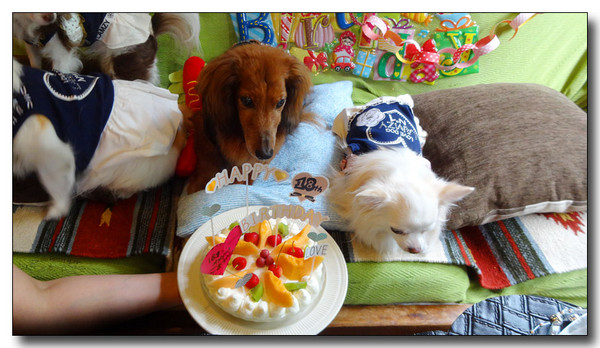 20150805185811.JPG