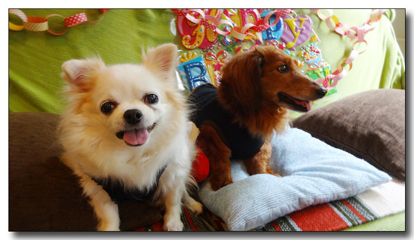 20150805190837.JPG