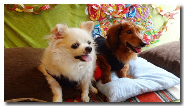 20150805190838.JPG
