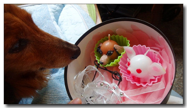 20150805190841.JPG