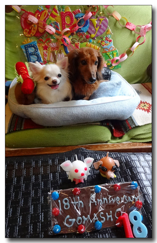 20150805191534.JPG