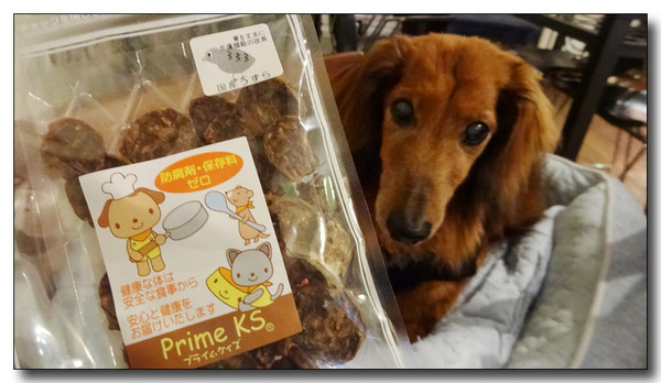 20150810041845.JPG