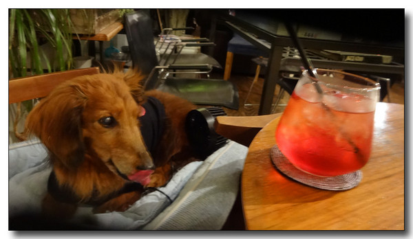 20150810041846.JPG