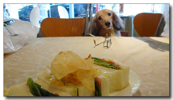 20150812220804.JPG