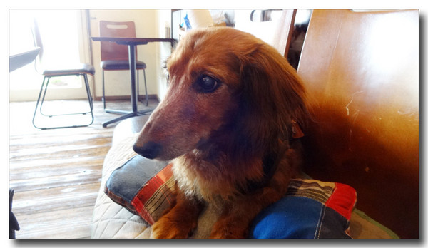 20150814135456.JPG