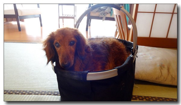 20150824084539.JPG