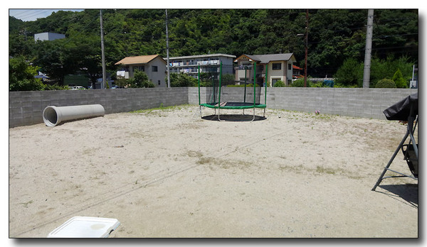 20150824210306.JPG