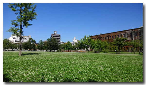 20150826211121.JPG