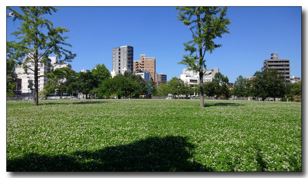 20150826211422.JPG