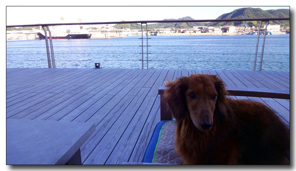20150828201014.JPG