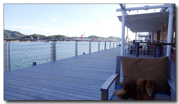 20150828201134.JPG