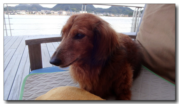 20150828201158.JPG