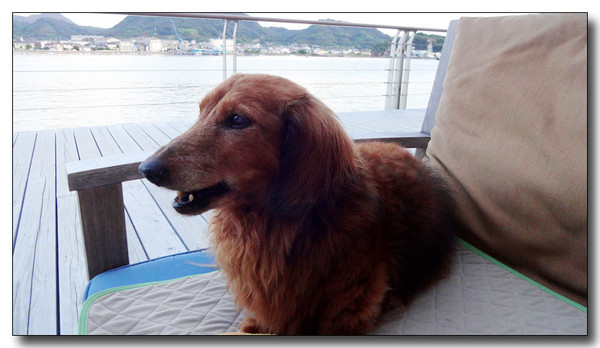 20150828201159.JPG