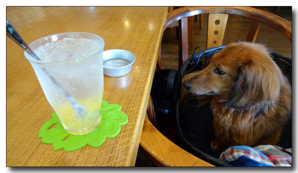 20150830204629.JPG