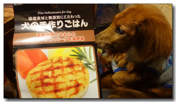 20150907141652.JPG