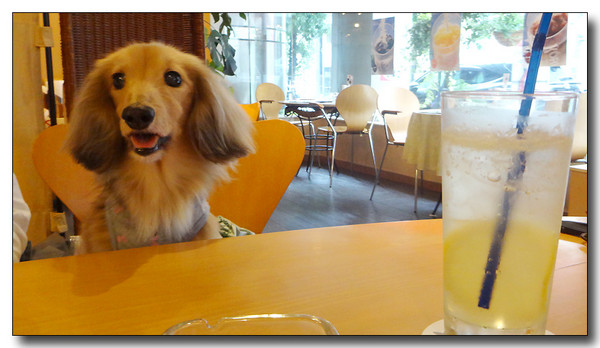 20150914200445.JPG