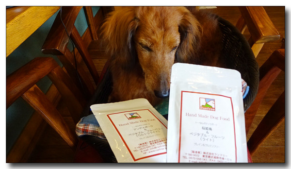 20150915140041.JPG