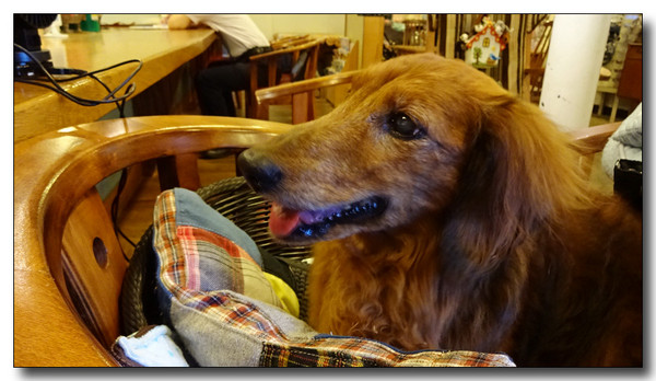 20150915140138.JPG