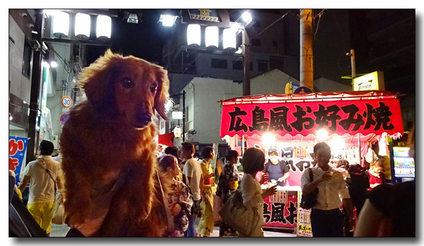 20150915142618.JPG