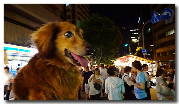 20150915142619.JPG