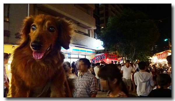 20150915142620.JPG