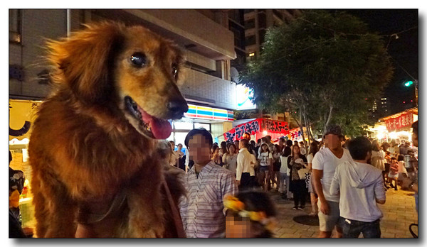 20150915142621.JPG