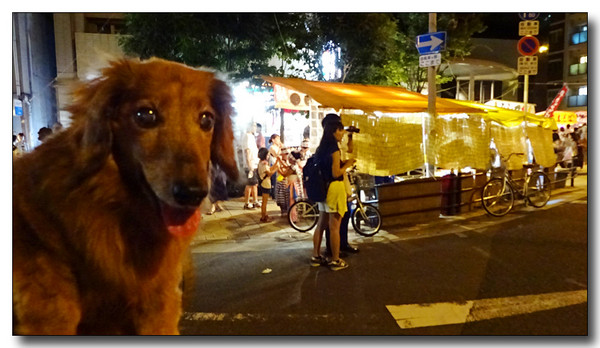 20150915142636.JPG