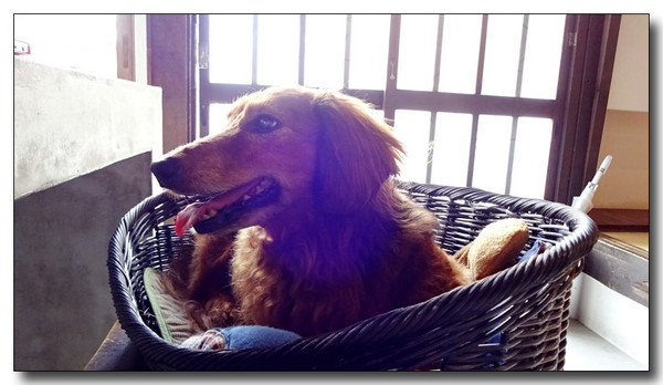 20150915150708.JPG