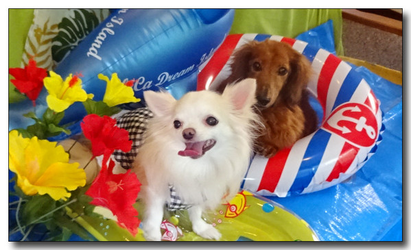 20150916203758.JPG