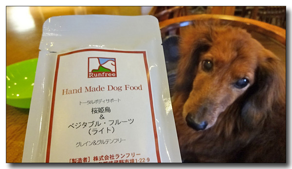 20150916203825.JPG