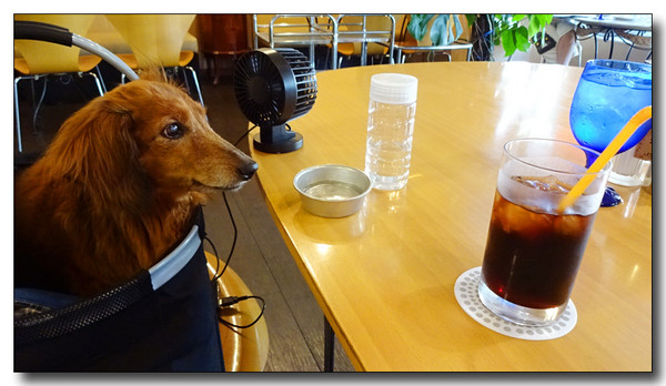 20150924192817.JPG
