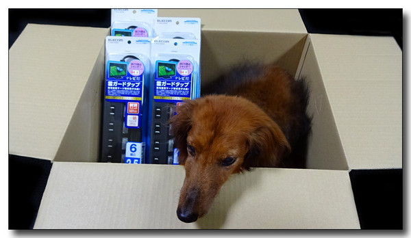 20150928092126.JPG