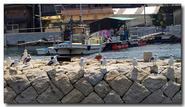 20151030035556.JPG