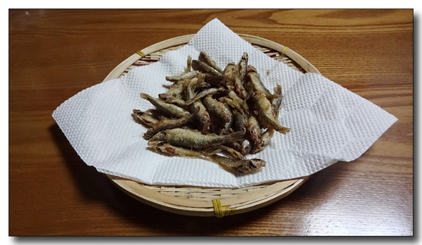 20151123201310.JPG