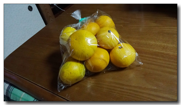 20151123201311.JPG