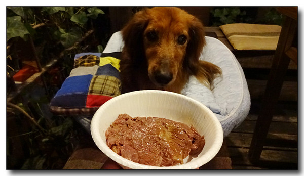 20151128171125.JPG