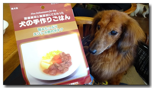 20151130094926.JPG