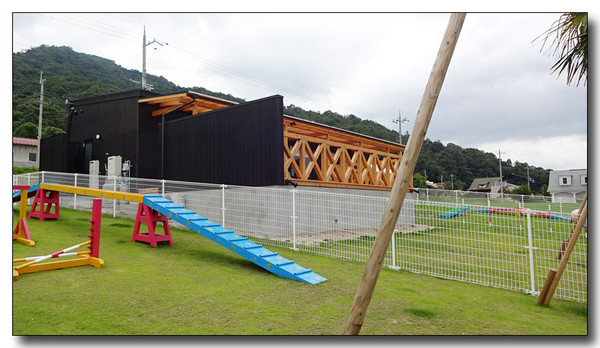 20151008075036.JPG