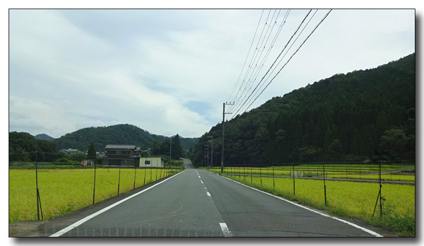 20151023081313.JPG