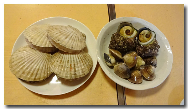 20151028055739.JPG