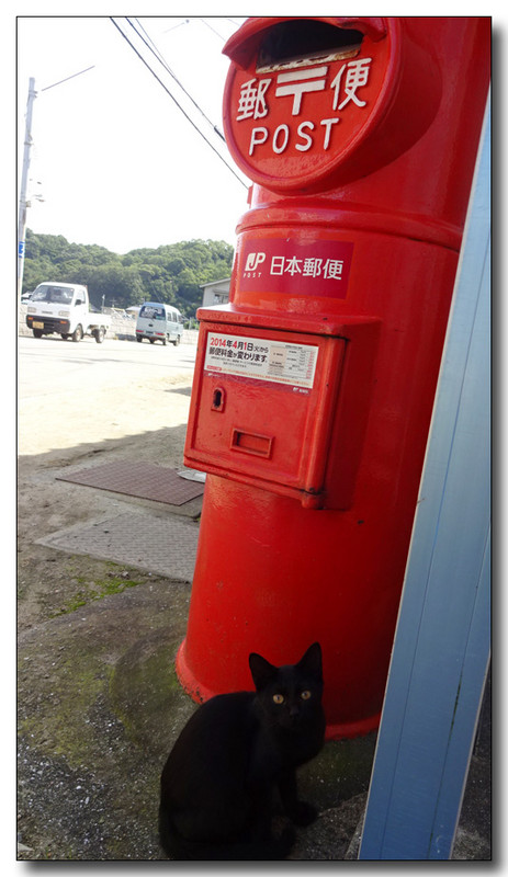 20151030033427.JPG