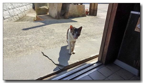 20151030033454.JPG