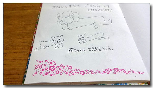 20151030034018.JPG