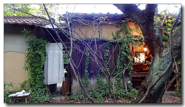 20160107222556.JPG
