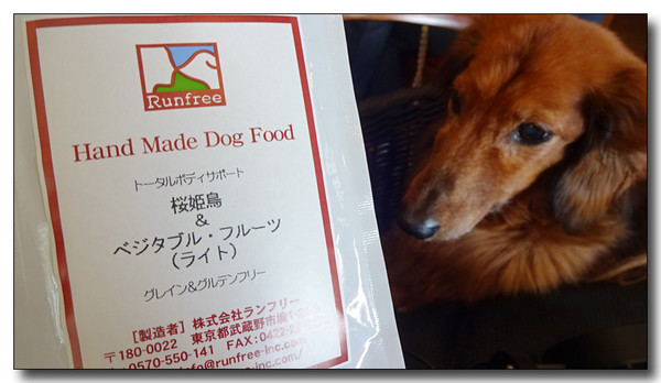 20151202233856.JPG