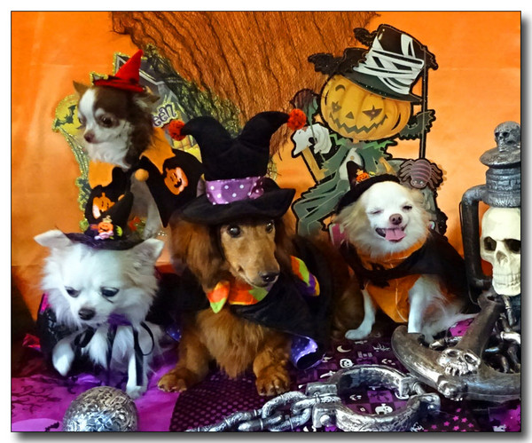 20151230161446.JPG
