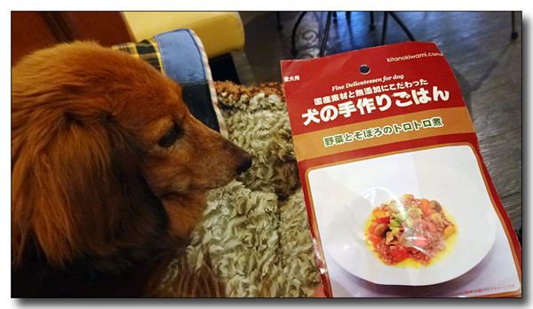 20160215185955.JPG