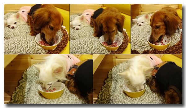 20160507190145.jpg